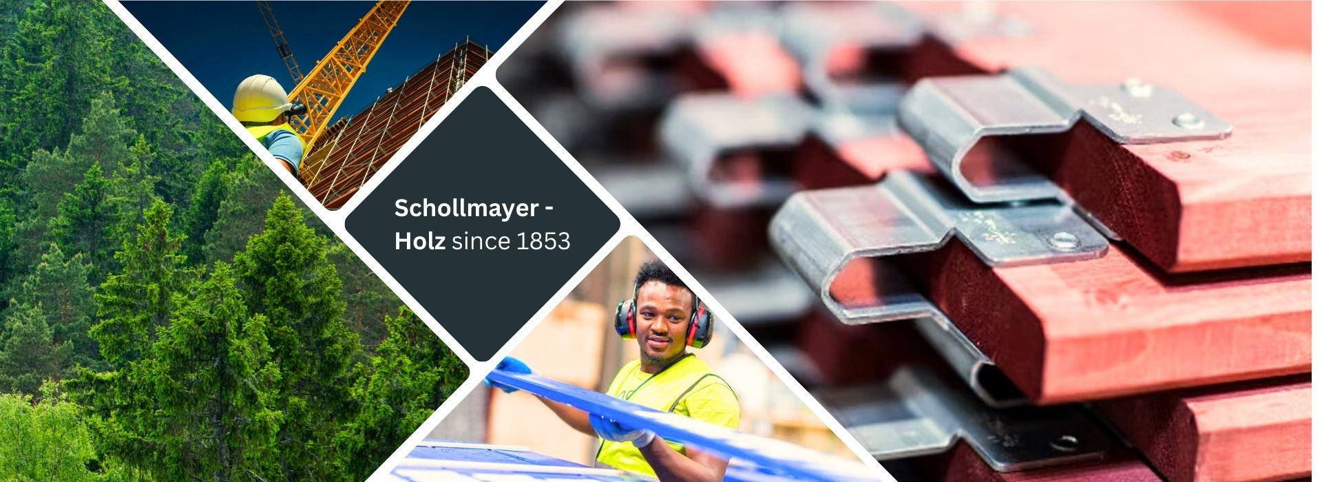Header_schollmayer_en